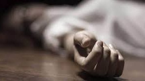 भीरबाट लडेर एक महिलाको मृत्यु
