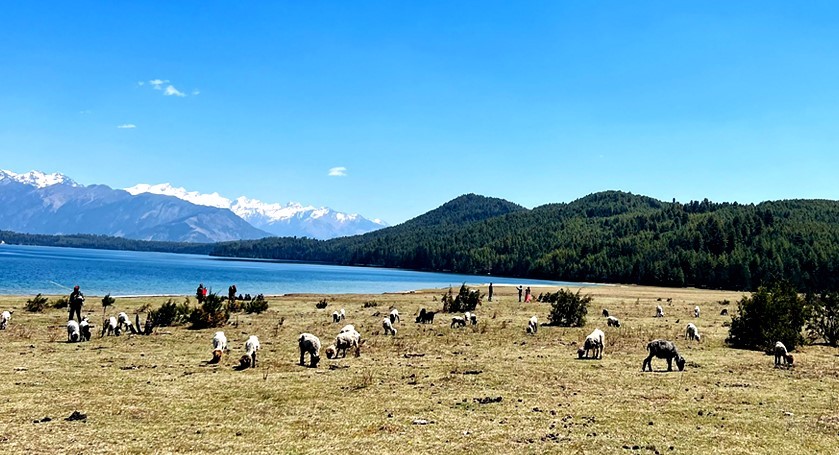  प्रकृति, संस्कृति र पर्यटनको अद्वितीय संगम रारा ताल 
