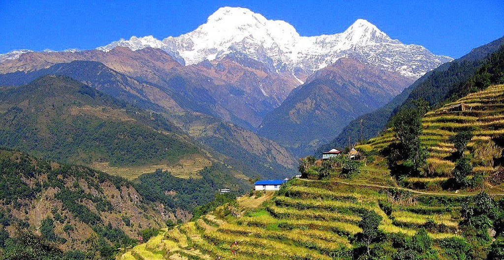 विद्युत् कार्यालयद्वारा सेवा पुनःसञ्चालन