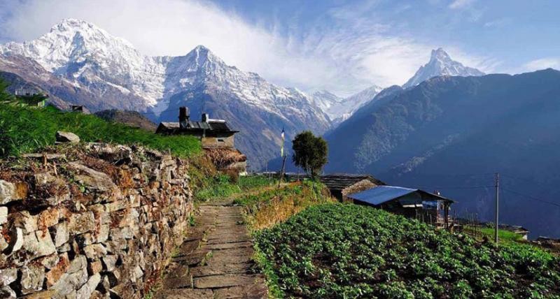 लिमीमा सशस्त्र पोष्ट स्थापना गर्ने तयारी अन्तिम चरणमा