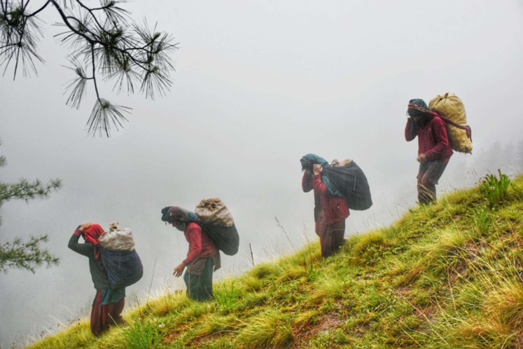 लेकबाट सेतकचिनी बोकेर ल्याउँदै स्थानीय महिला