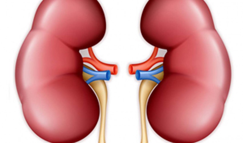 निःशुल्क डाइलाइसिस सेवा शुरु