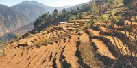 कर्णालीमा बाँझो जमिन राख्नेलाई जरिवाना