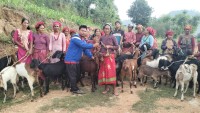 शारदाको नयाँ बस्ती सामुदायिक वनबाट बाख्रा वितरण