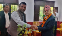 चौकुनेको नयाँ प्रमुख प्रशासकीय अधिकृतमा ज्ञवाली