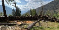 मुगु–हुम्ला सडक खन्ने क्रममा कटानी गरिएको काठ कुहिने अवस्थामा