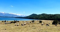  प्रकृति, संस्कृति र पर्यटनको अद्वितीय संगम रारा ताल 