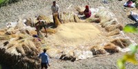 तिहारअघि धान भित्र्याउन सल्यानका किसान दौडधुपमा