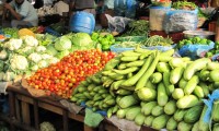 वीरेन्द्रनगरमा तरकारीमा विषादी परीक्षण तीव्र