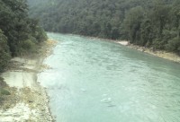 असार ५ देखि बेपत्ता सवारी चालकको शव भेरी नदी किनारमा फेला