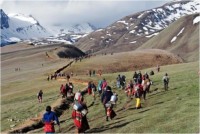 तोकिएको मिति भन्दा अघि नै यार्सागुम्बा संकलकहरूको भीड