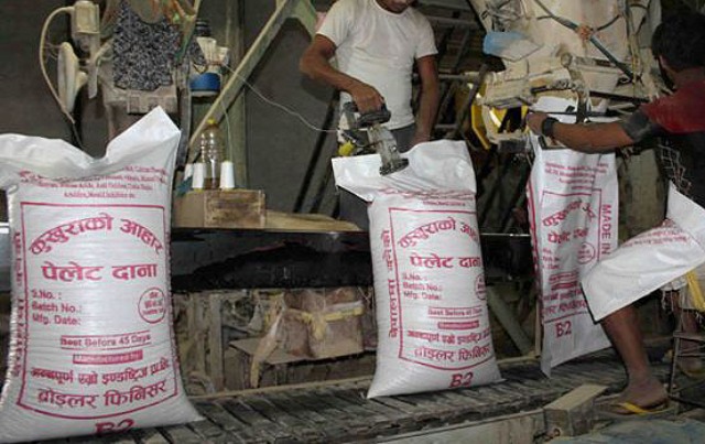 दाना उत्पादन गर्न लागिएकामा किसान हर्षित