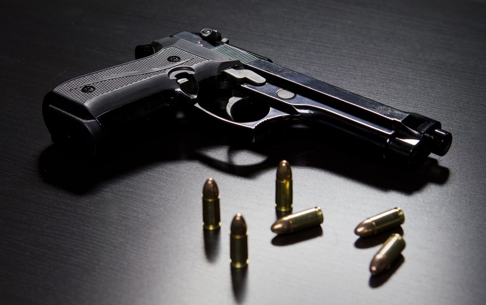 मुगु लिब्रोका दुई घरबाट बन्दुक बरामद