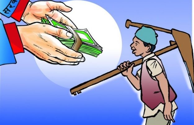 मुसीकोटका कृषकलाई निःशुल्क बाली र बीमा
