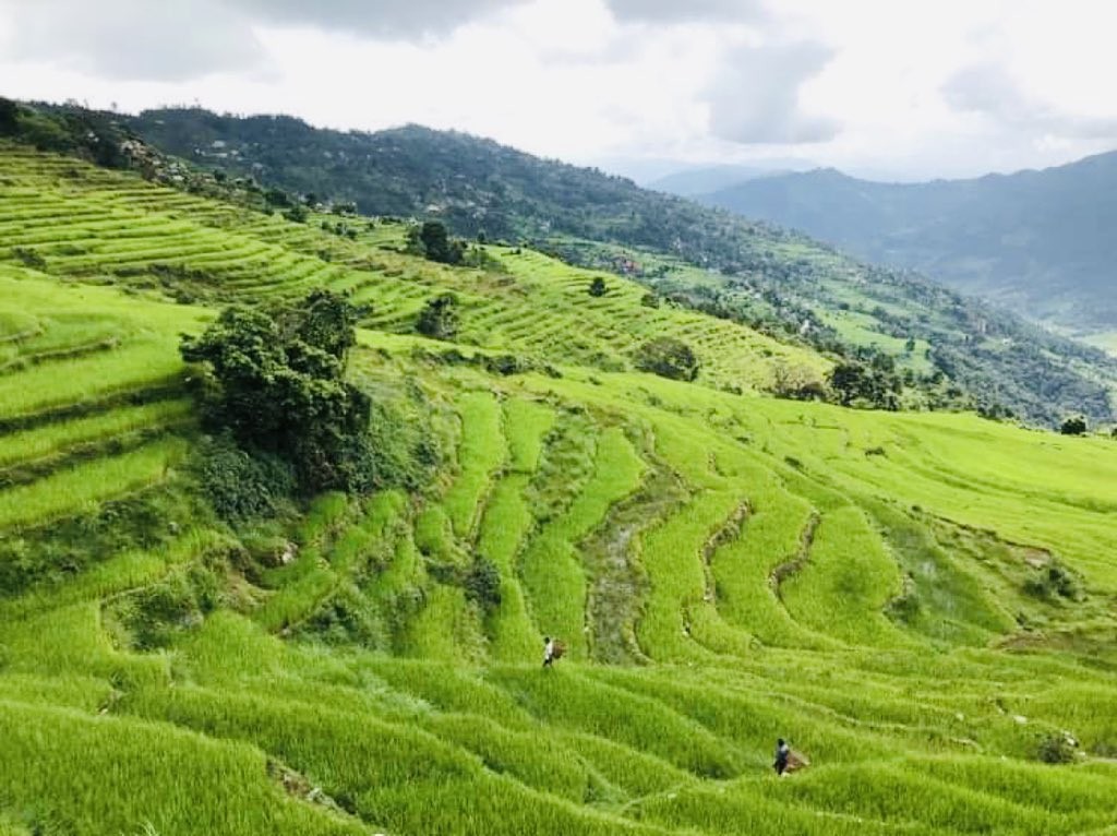 ‘हुम्लामा चीनले सीमा अतिक्रमण गरेको छैन्’