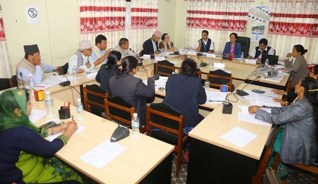 बाल सङ्गठनको अध्ययन प्रतिवेदन पारित
