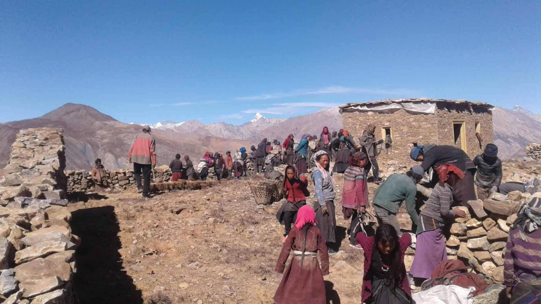 डोल्पामा औषधि अभावसँगै बिरामी बढे