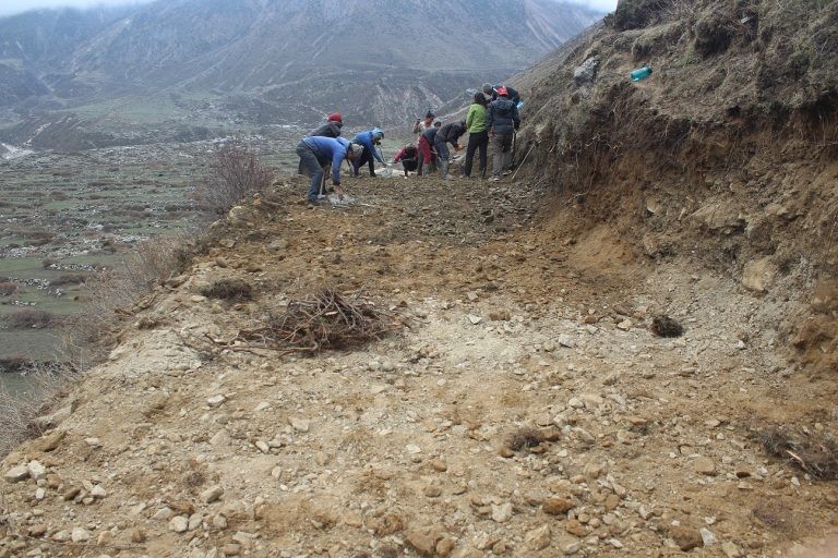 कर्णालीमा  विकासको कामवापत खाद्यान्न