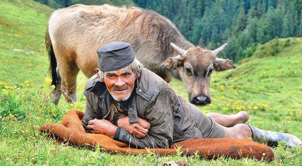 कर्णालीमा ‘गोठालो भत्ता’ कार्यक्रम सुरु हुने