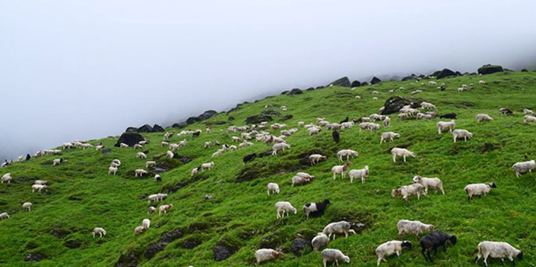 जाजरकोटको पाटनबाट बेपत्ता सात जना भेटिए