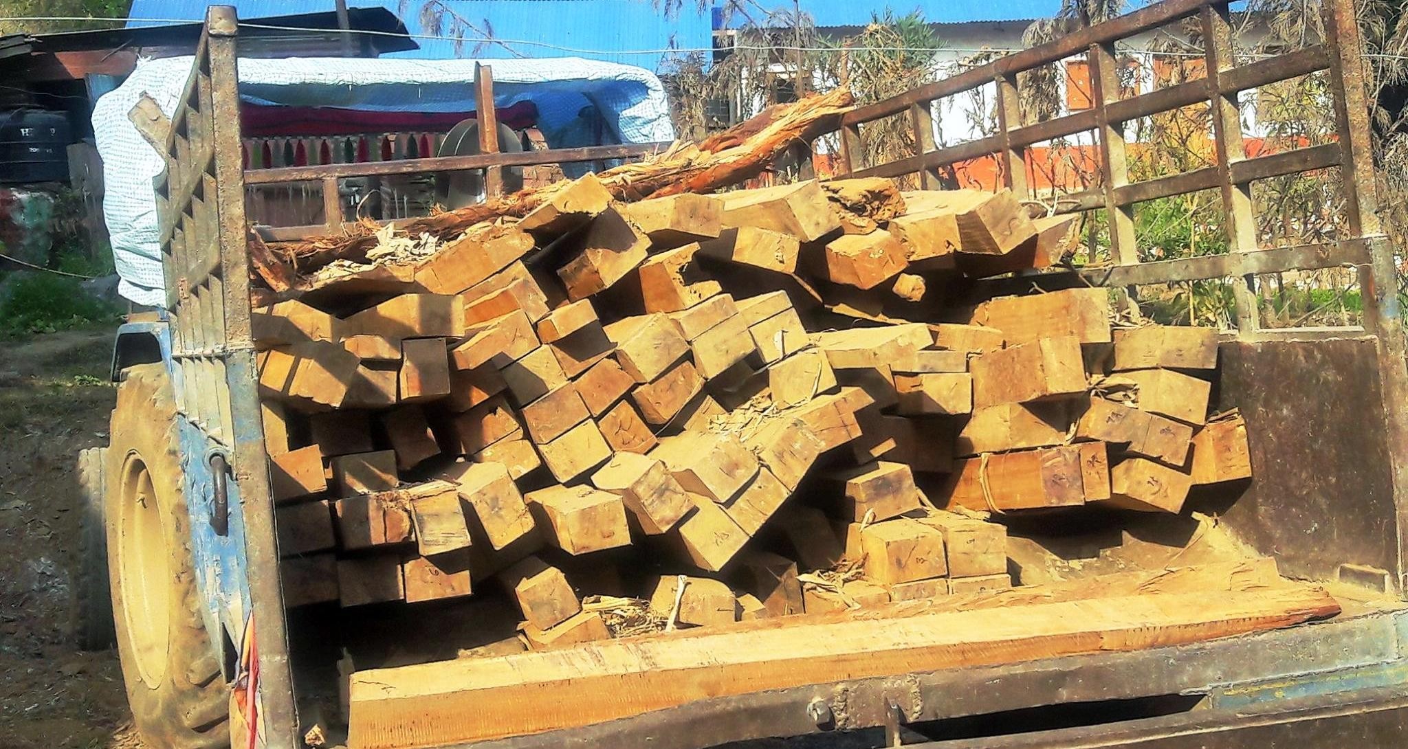 अवैध सालको काठसँगै चार जना पक्राउ