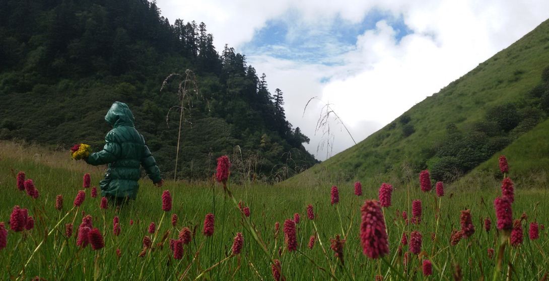 सिस्ने पदमार्गको पहिचान सम्पन्न