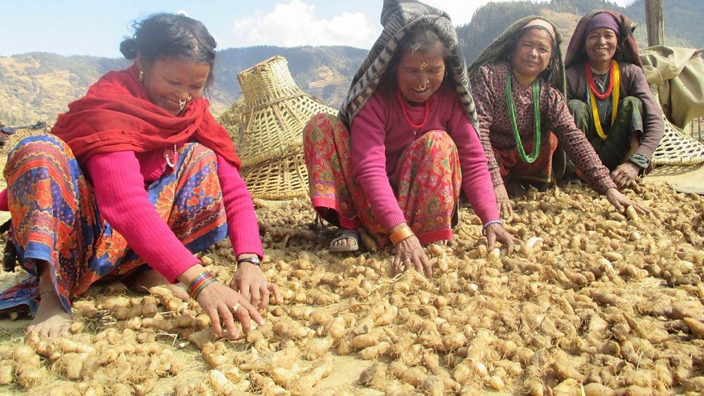 जुम्लामा महिलालाई आत्मनिर्भर बनाइँदै