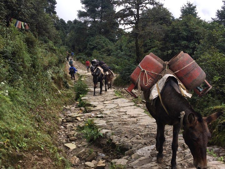 वर्षातका समय खच्चडकै सहारा