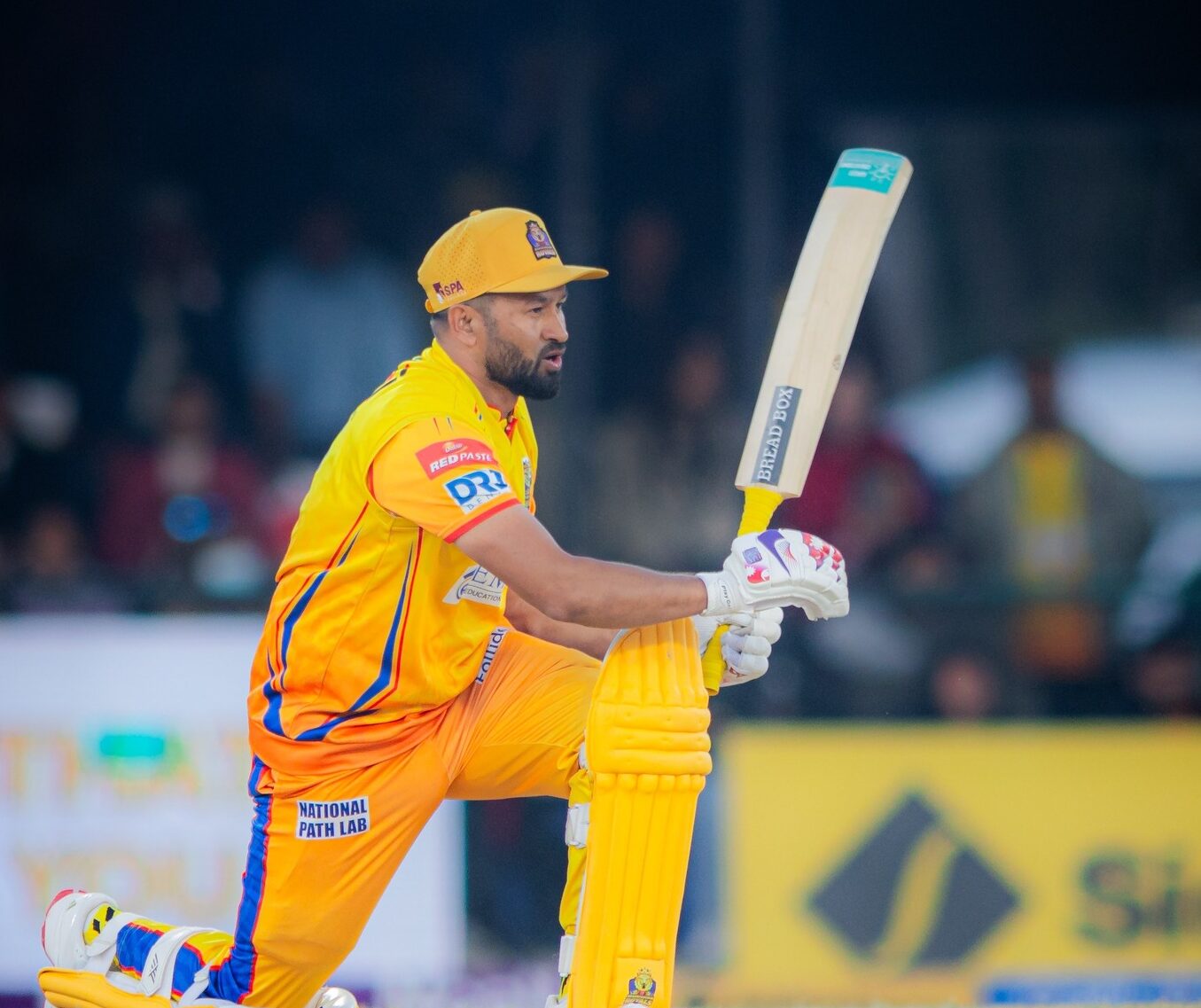 एनपिएलमा ३६ अर्धशतक