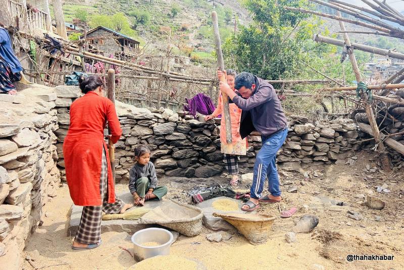 हराउँदै धान कुट्ने ओखल