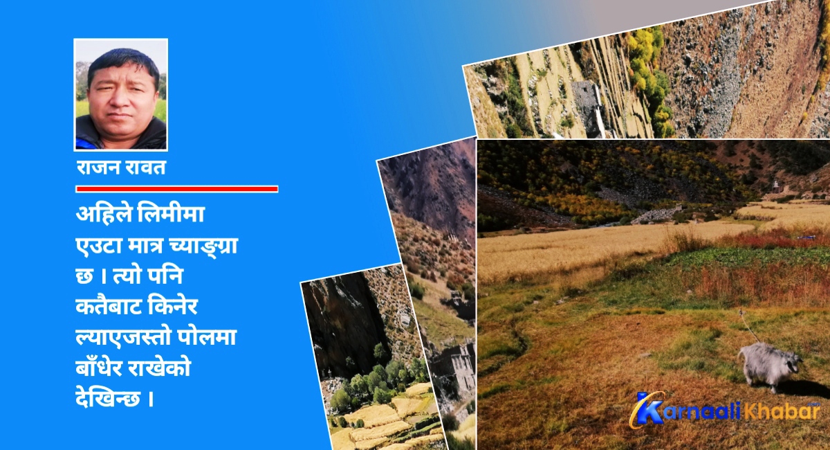 लाखौँबाट एउटा च्यांग्रामा सीमित लिमी गाउँ