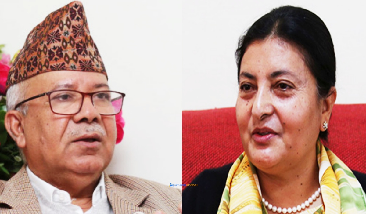 माधव नेपाल र राष्ट्रपतिबीच भेटवार्ता