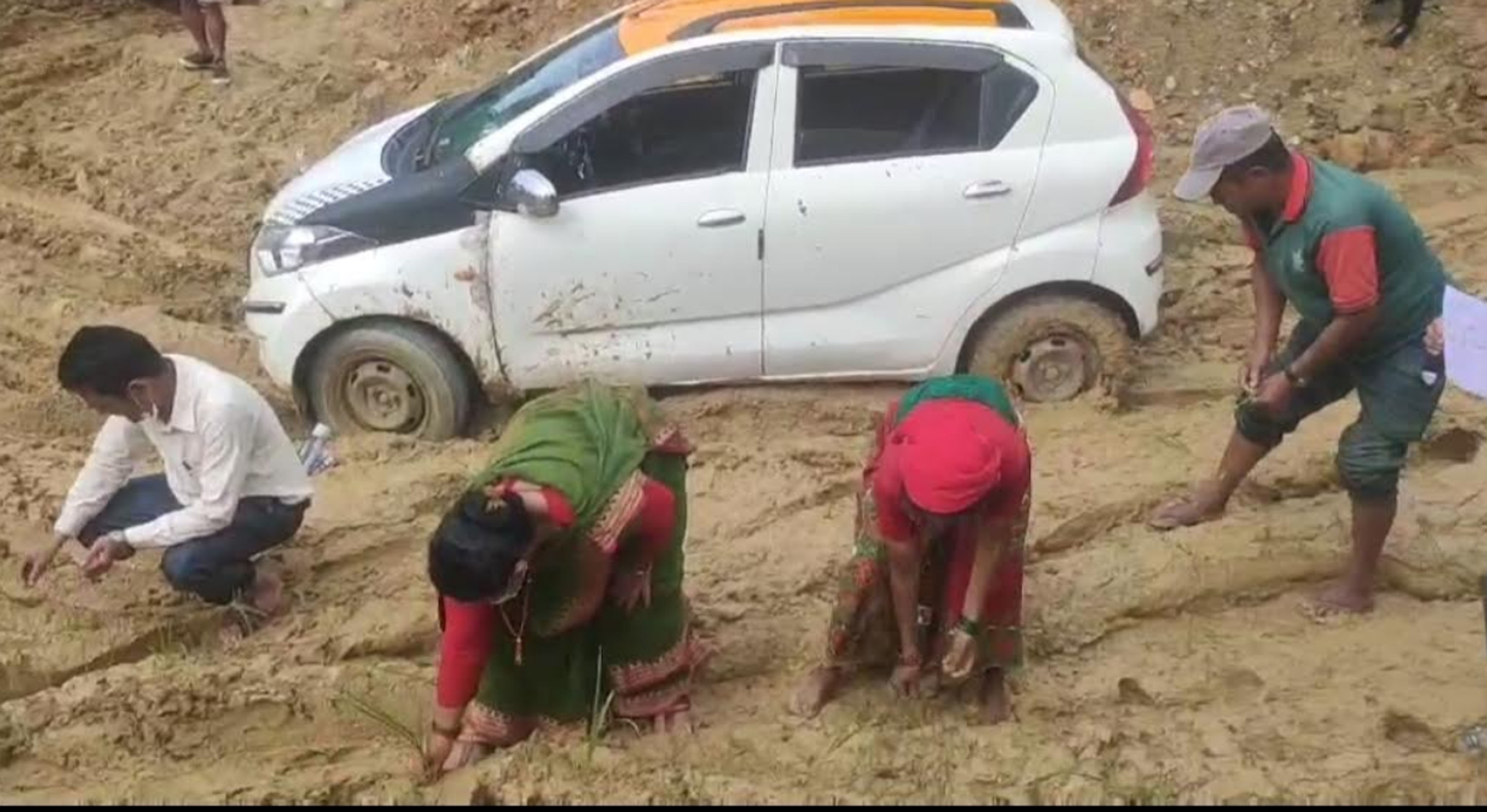 जनप्रतिनिधिले नै रोपे सडकमा कोदो 