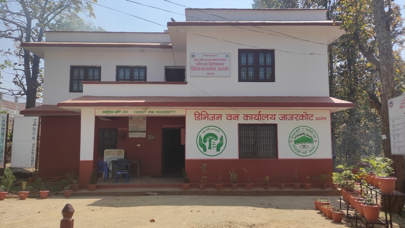 जाजरकोट डिभिजन वन प्रमुखमाथि कार्यकक्षमै हातपात
