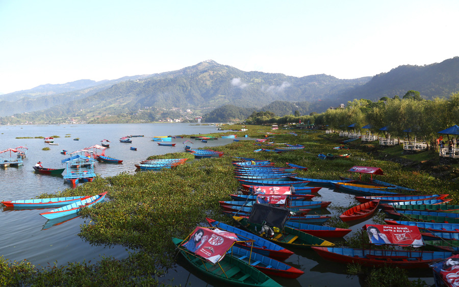 ओमिक्रोनले थप्यो पर्यटन व्यवसायीमा चिन्ता