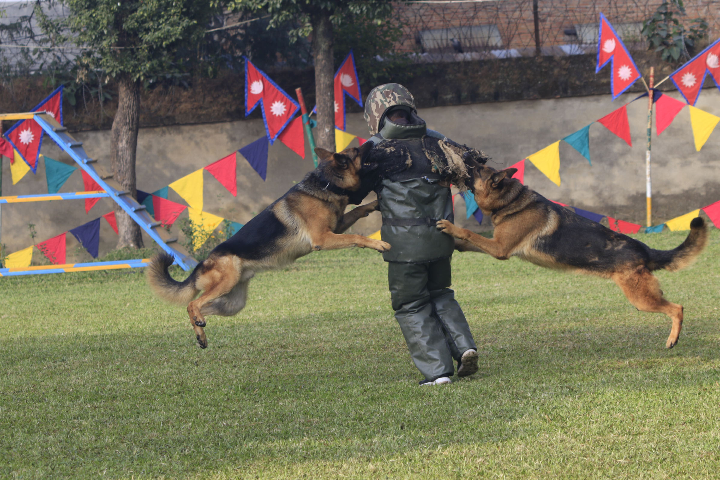 अपराध अनुसन्धानमा उत्कृष्टकार्य गर्ने कुकुर पुरस्कृत