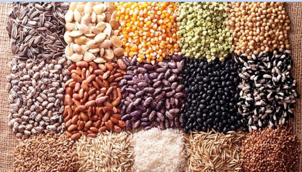 ८० प्रतिशतभन्दा बढी बीउबिजन आपूर्ति निजी क्षेत्रबाट