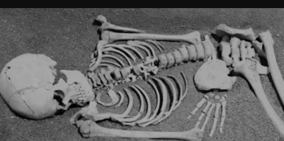 भक्तपुरको सामुदायिक वनमा भेटियो मानव कङ्काल