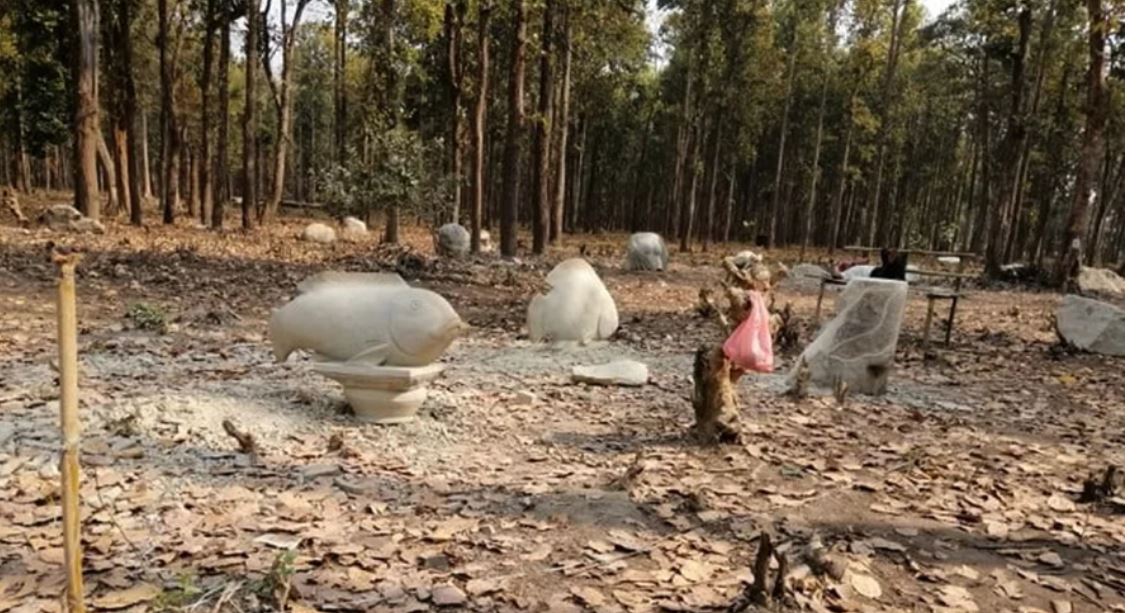 भूमाफियाबाट फिर्ता गरिएको जग्गामा आकर्षक उद्यान