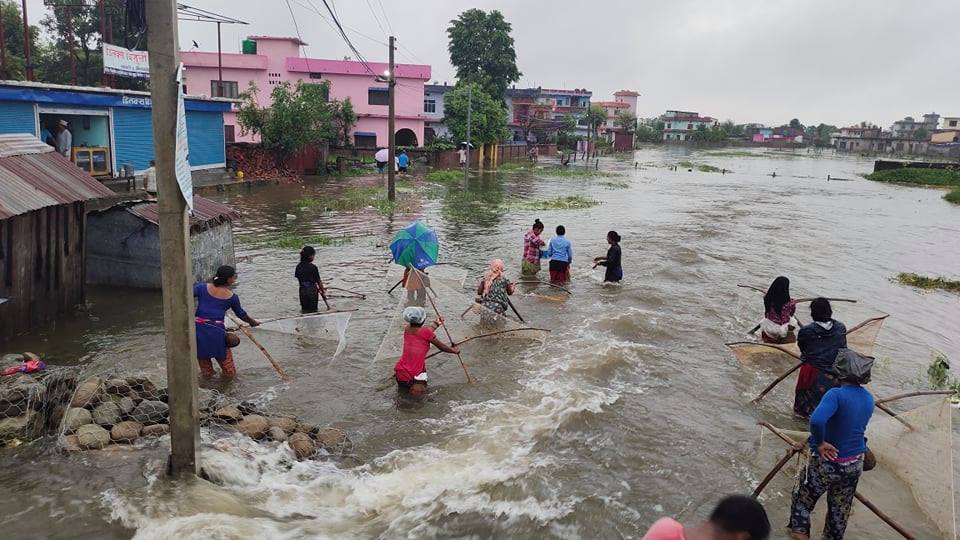 वर्षाले धनगढी आसपासका क्षेत्र जलमग्न
