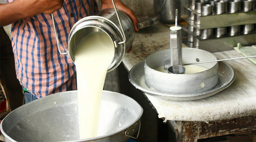 दुग्ध सङ्कलन केन्द्र स्थापना