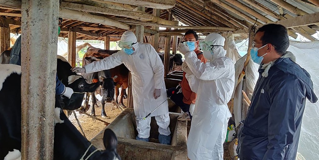 पड्के रोग नियन्त्रणका लागि खोप अभियान