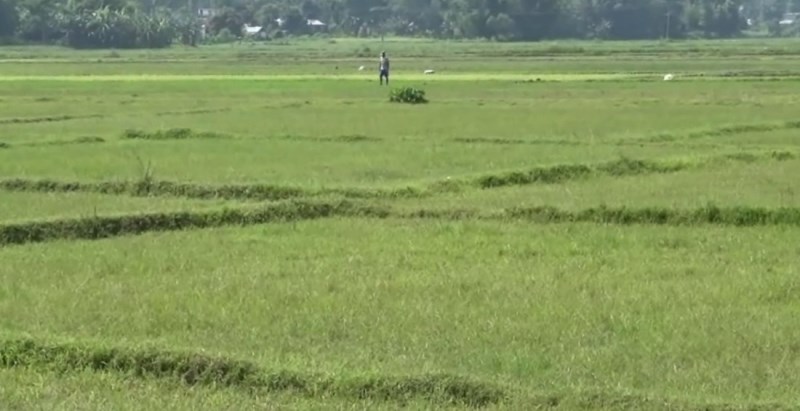 आफ्नो जग्गा बेचेर चामल किनेर खाने संख्या बढ्यो 