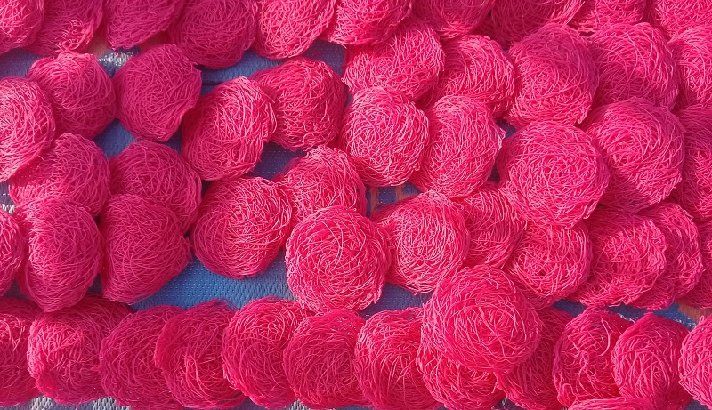 झिनियाँबाटै एक सिजनमा छ लाख आम्दानी