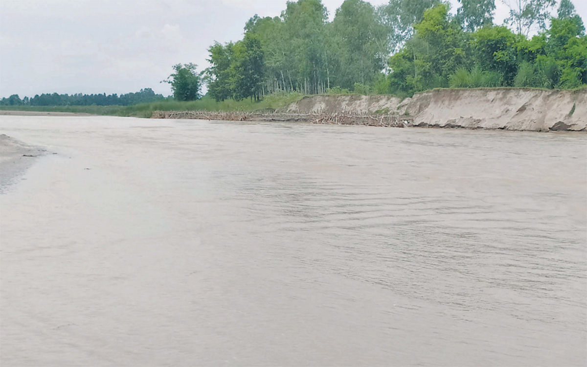 कटान र क्षति रोक्न बर्सेनि टालटुले काम