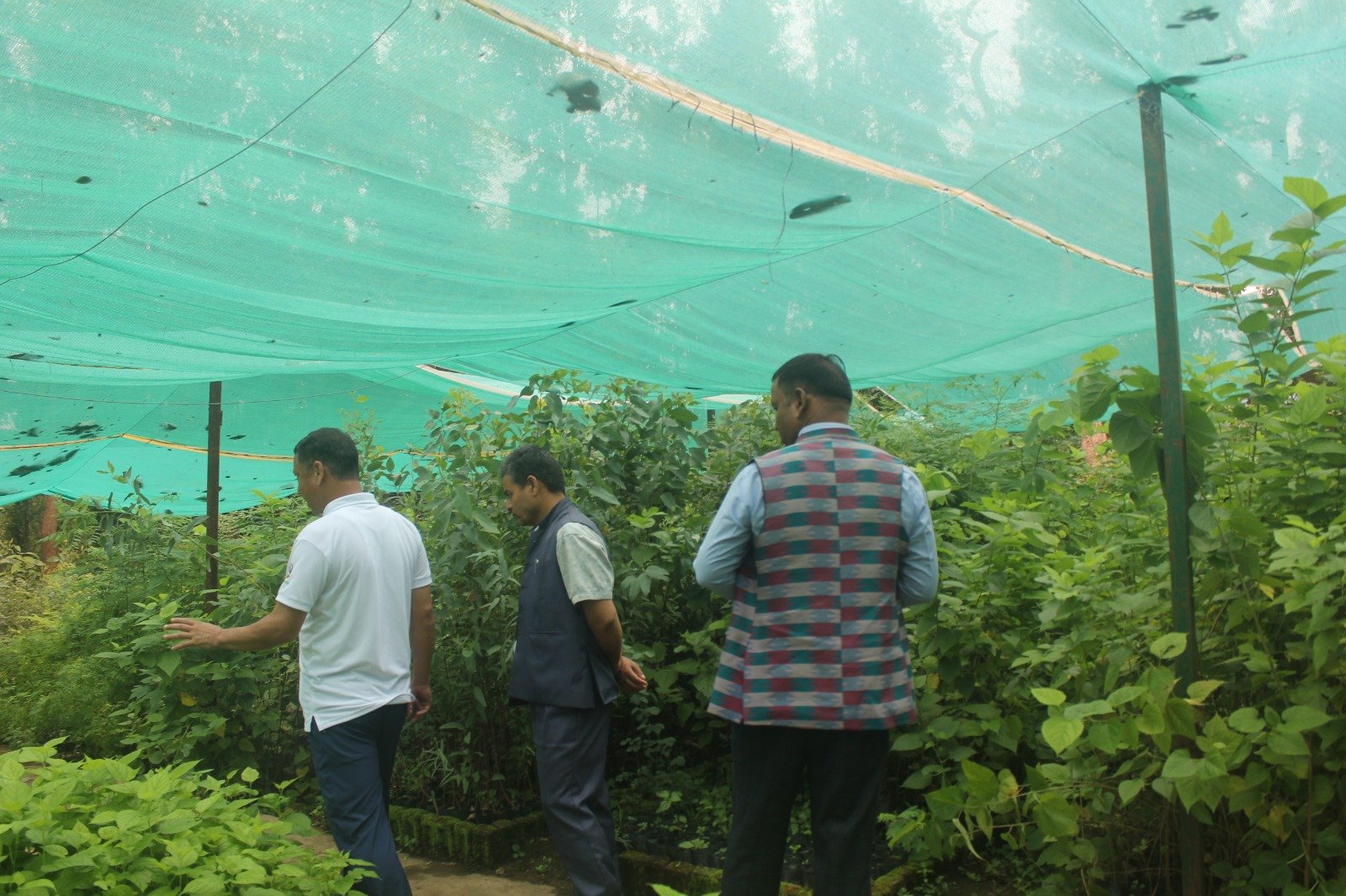 सुर्खेतमा हरित पूर्वाधार विस्तार: पार्क निर्माणदेखि मन्दिर संरक्षणसम्म ८३ लाख लगानी