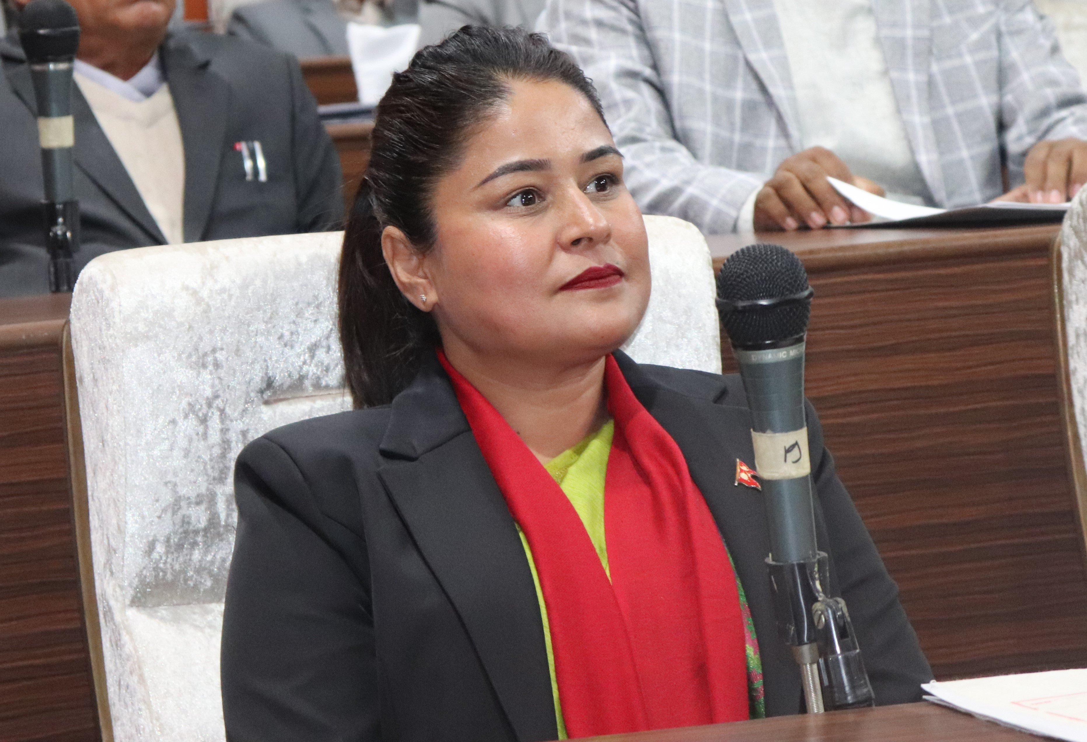 बजेट नेतामुखी, जनताको आवश्यकता बेवास्ता : सांसद शाहीको प्रदेश सरकारप्रति आरोप