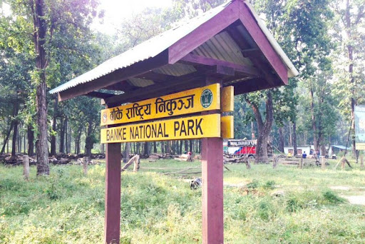 अकालमा मृत्युवरण गर्दै  निकुञ्जका वन्यजन्तु 