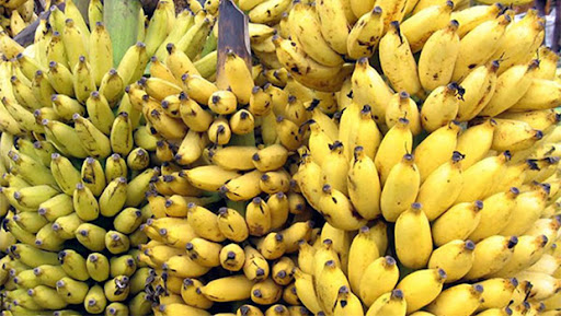 केराका थामबाट मनग्ये आम्दानी