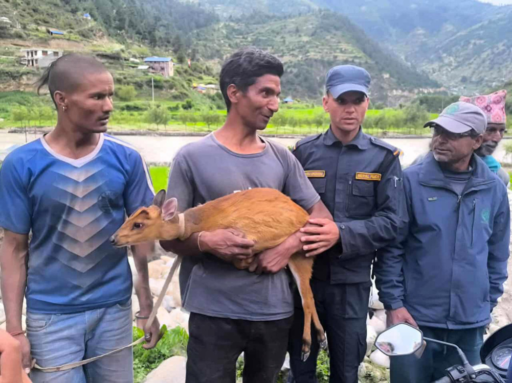 तिला नदीमा बगिरहेको अवस्थामा भेटिएको रतुवा सकुशल उद्धार